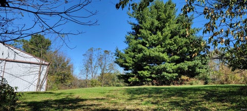Tiny photo for 11688 E Wilson Court, Springville, IN 47462 (MLS # 202641997)