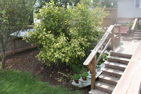 Tiny photo for 614 N Riverside Drive, Winamac, IN 46996 (MLS # 202515214)