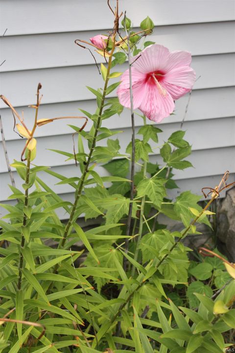 Tiny photo for 614 N Riverside Drive, Winamac, IN 46996 (MLS # 202515214)