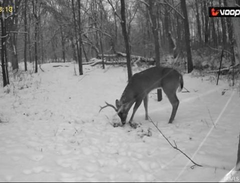 Tiny photo for 0 S 50 E., Kokomo, IN 46902 (MLS # 202613356)