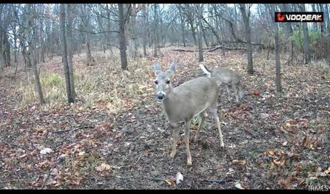 Tiny photo for 0 S 50 E., Kokomo, IN 46902 (MLS # 202613356)