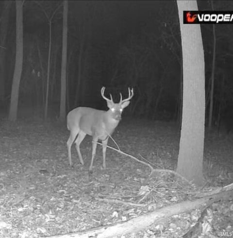 Tiny photo for 0 S 50 E., Kokomo, IN 46902 (MLS # 202613356)