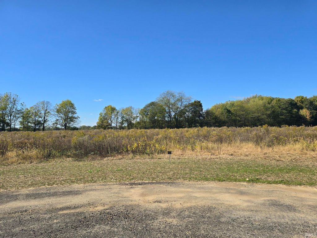 Photo of Lot 11 County Road 17 Drive, Auburn, IN 46706 (MLS # 202541346)