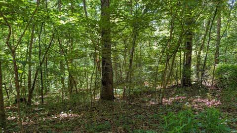Photo for Lot 16 Bell Hollow Road