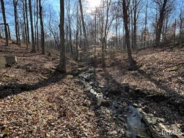 Photo of 8623 W Crum Road #4, Bloomington, IN 47403 (MLS # 202622797)
