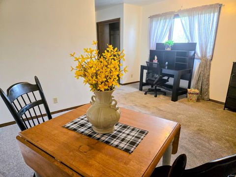 Tiny photo for 5660 E 400 N Street, Monticello, IN 47960 (MLS # 202613997)