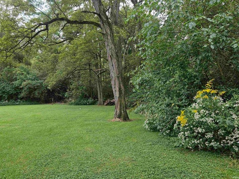 Tiny photo for 3463 E 200 N, Peru, IN 46970 (MLS # 202639004)