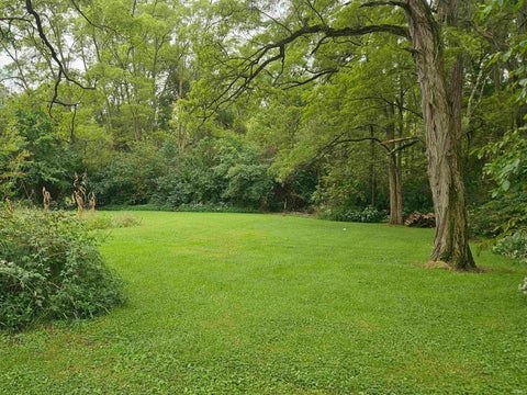 Tiny photo for 3463 E 200 N, Peru, IN 46970 (MLS # 202639004)