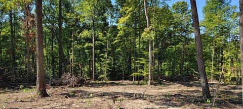 Tiny photo for Stephanie Court, Solsberry, IN 47459 (MLS # 202637966)