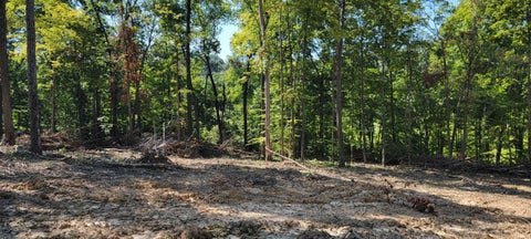 Tiny photo for Stephanie Court, Solsberry, IN 47459 (MLS # 202637966)