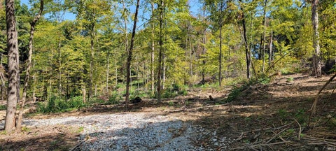 Tiny photo for Stephanie Court, Solsberry, IN 47459 (MLS # 202637966)