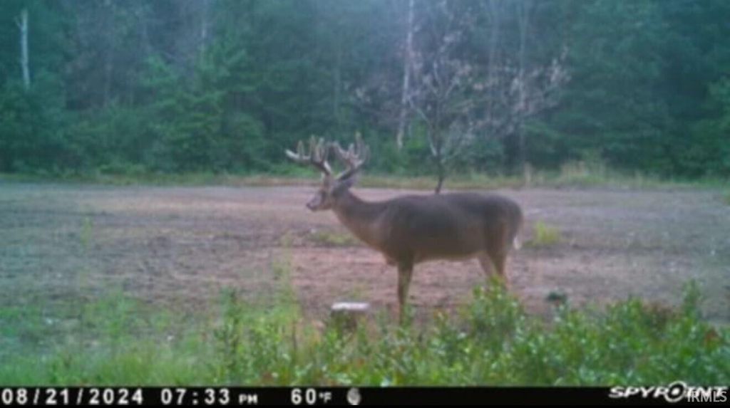 Photo of V/L 100N and 600E, Knox, IN 46534 (MLS # 202602695)