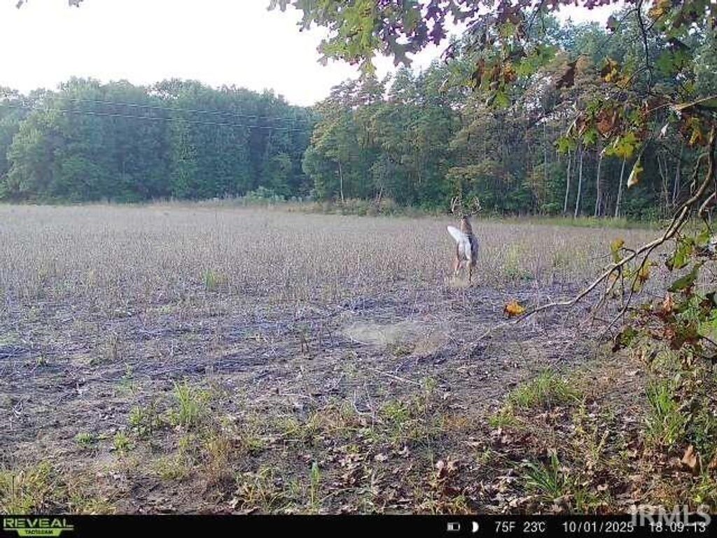 Photo of V/L 100N and 600E, Knox, IN 46534 (MLS # 202602695)