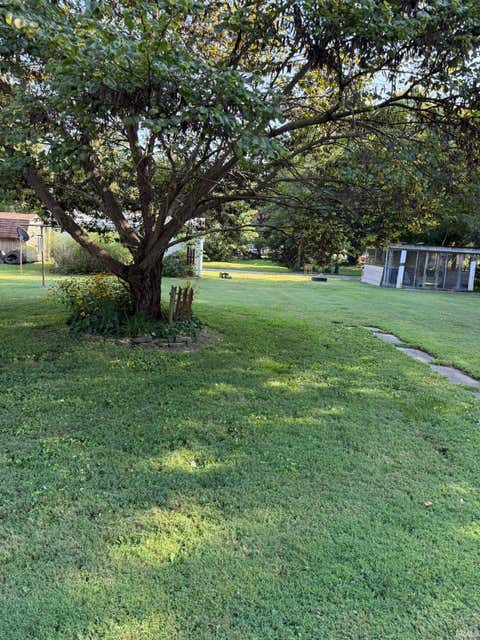 Tiny photo for 141 E South Street, Sumner, IL 62466 (MLS # 202635259)
