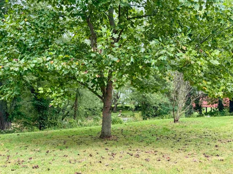 Tiny photo for 405 S River Ext. Road, North Manchester, IN 46962 (MLS # 202638848)