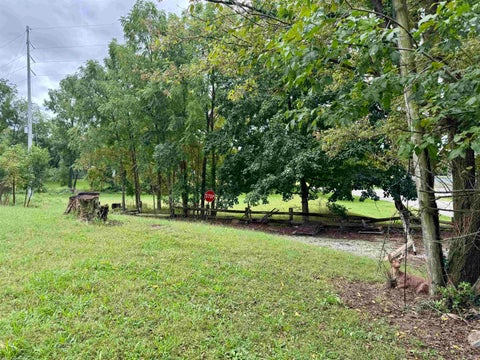 Tiny photo for 405 S River Ext. Road, North Manchester, IN 46962 (MLS # 202638848)