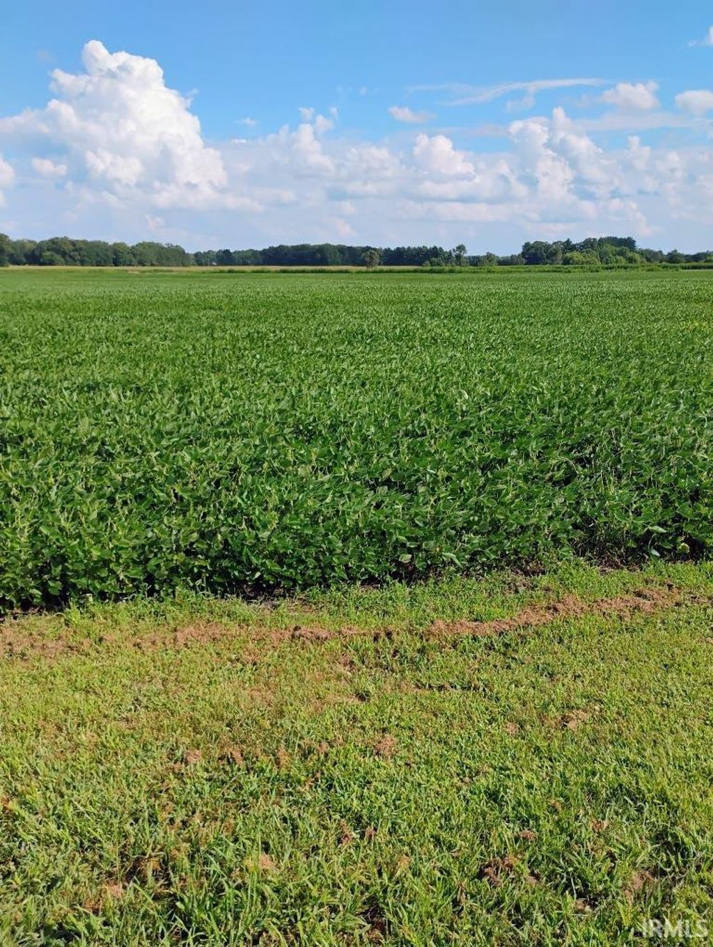 Photo of TBD 550N Road, Grovertown, IN 46531 (MLS # 202541404)