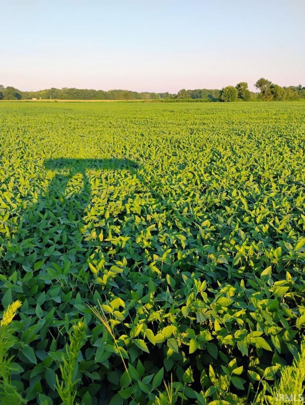 Photo of TBD 550N Road, Grovertown, IN 46531 (MLS # 202541404)
