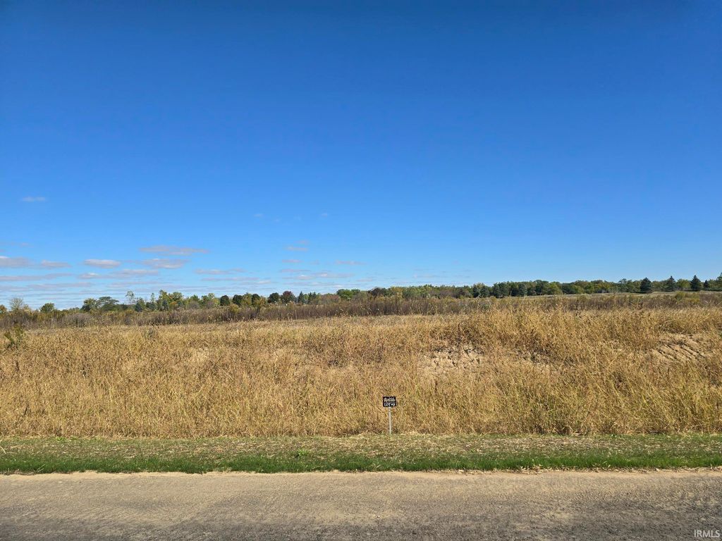 Photo of Lot 3 County Road 17 Drive, Auburn, IN 46706 (MLS # 202541338)