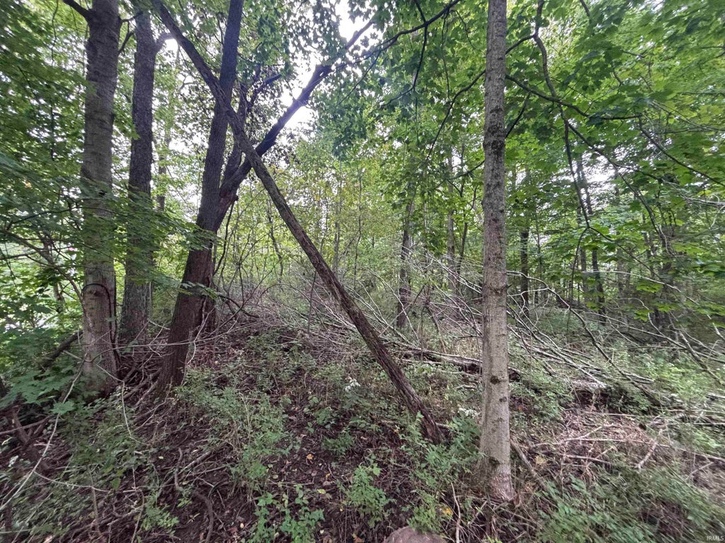 Photo of 55 W Old Trail Trail, Somerset, IN 46940 (MLS # 202639788)