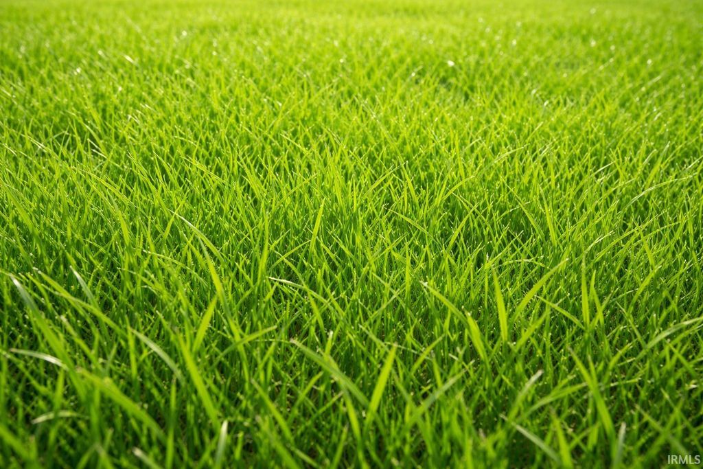 Photo of 712 S Nebraska Street, Marion, IN 46953 (MLS # 202612479)