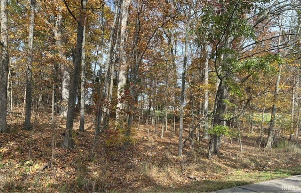 Photo of 0 Prancer Dr S, Santa Claus, IN 47579 (MLS # 202641611)