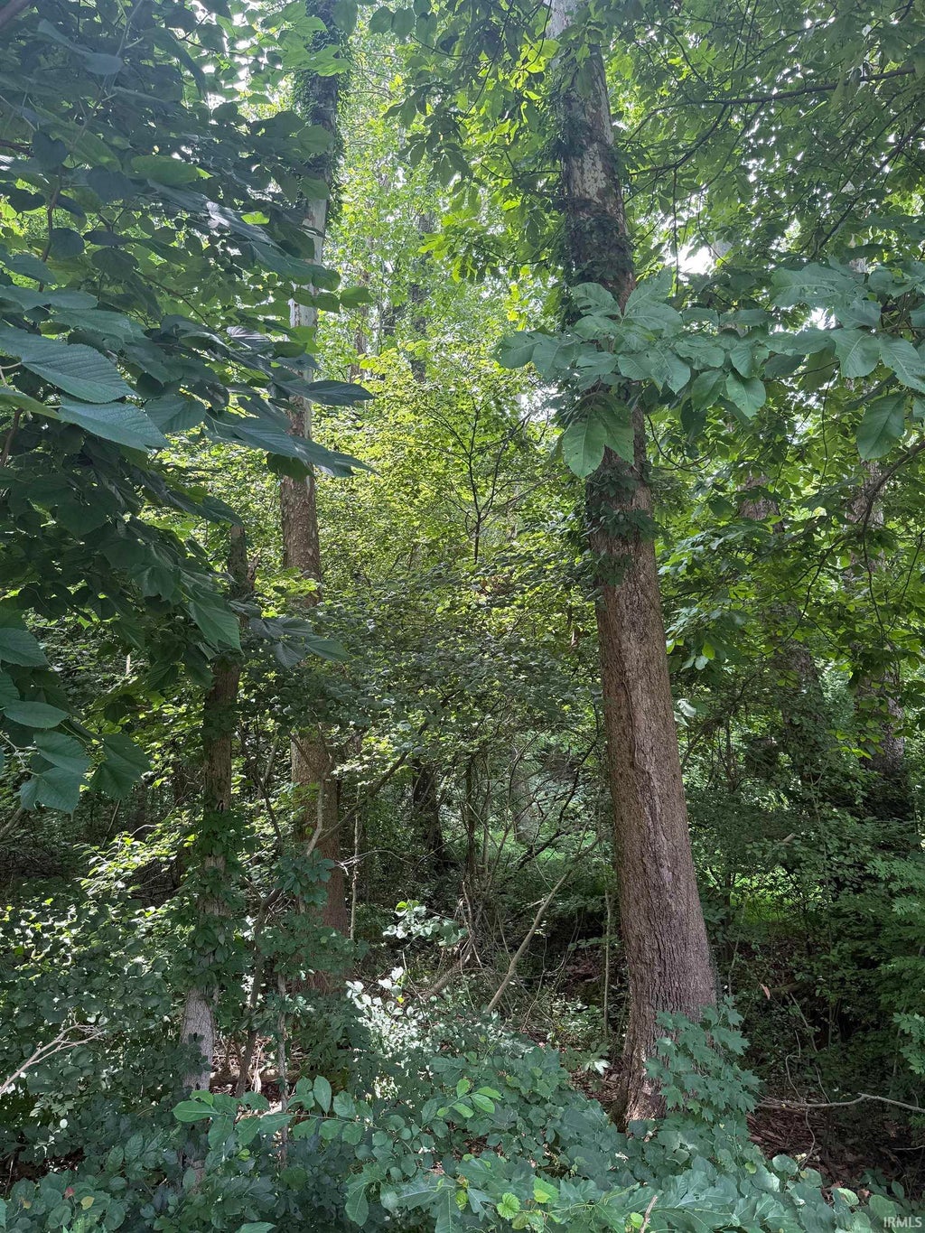 Photo of 0000 Schlensker Road, Evansville, IN 47725 (MLS # 202631052)