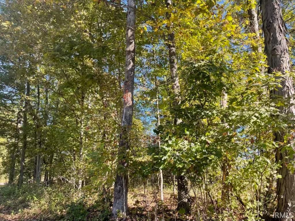 Photo of TBD Ditney Ridge Road (12acres), Bedford, IN 47421 (MLS # 202541209)