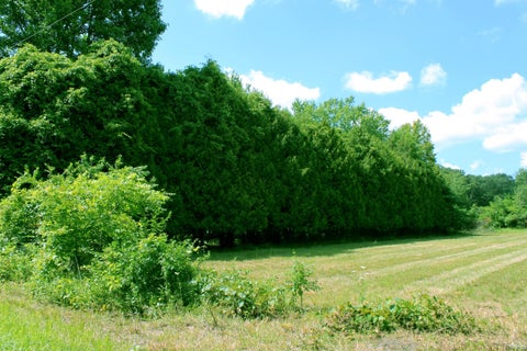 Tiny photo for 500 N 50 W, Winamac, IN 46996 (MLS # 202631923)