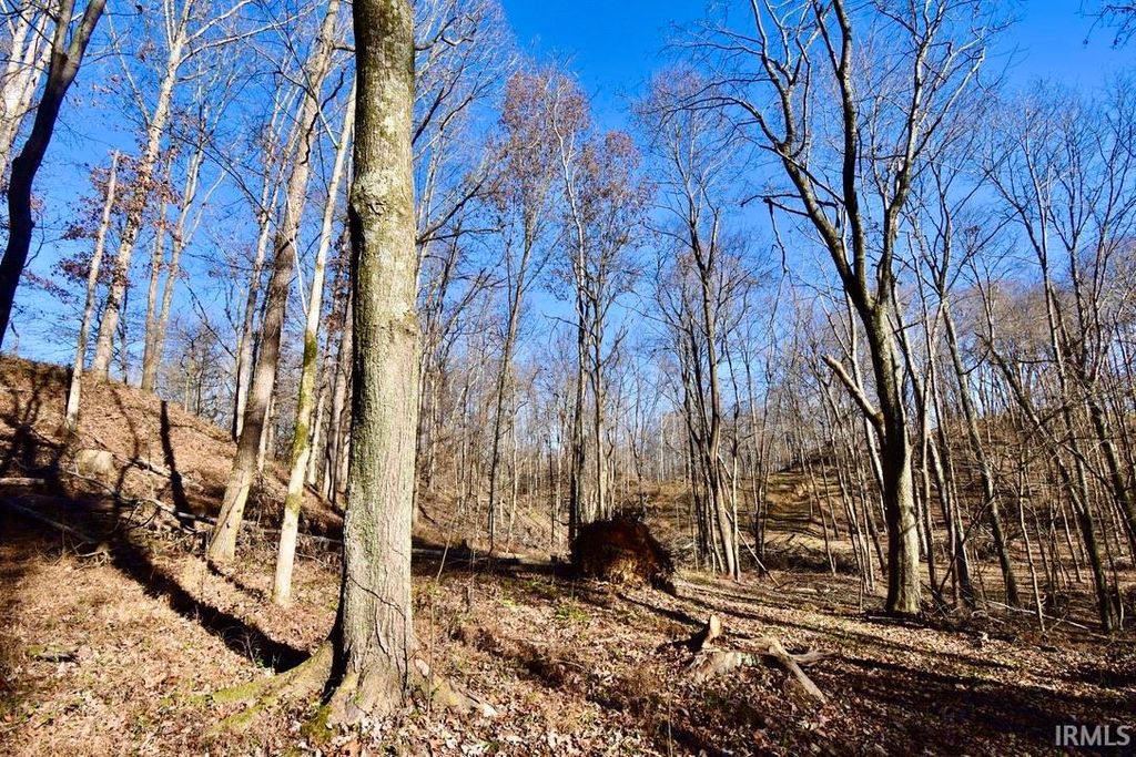 Photo of 00 Ebeneezer Road, Tennyson, IN 47637 (MLS # 202549783)