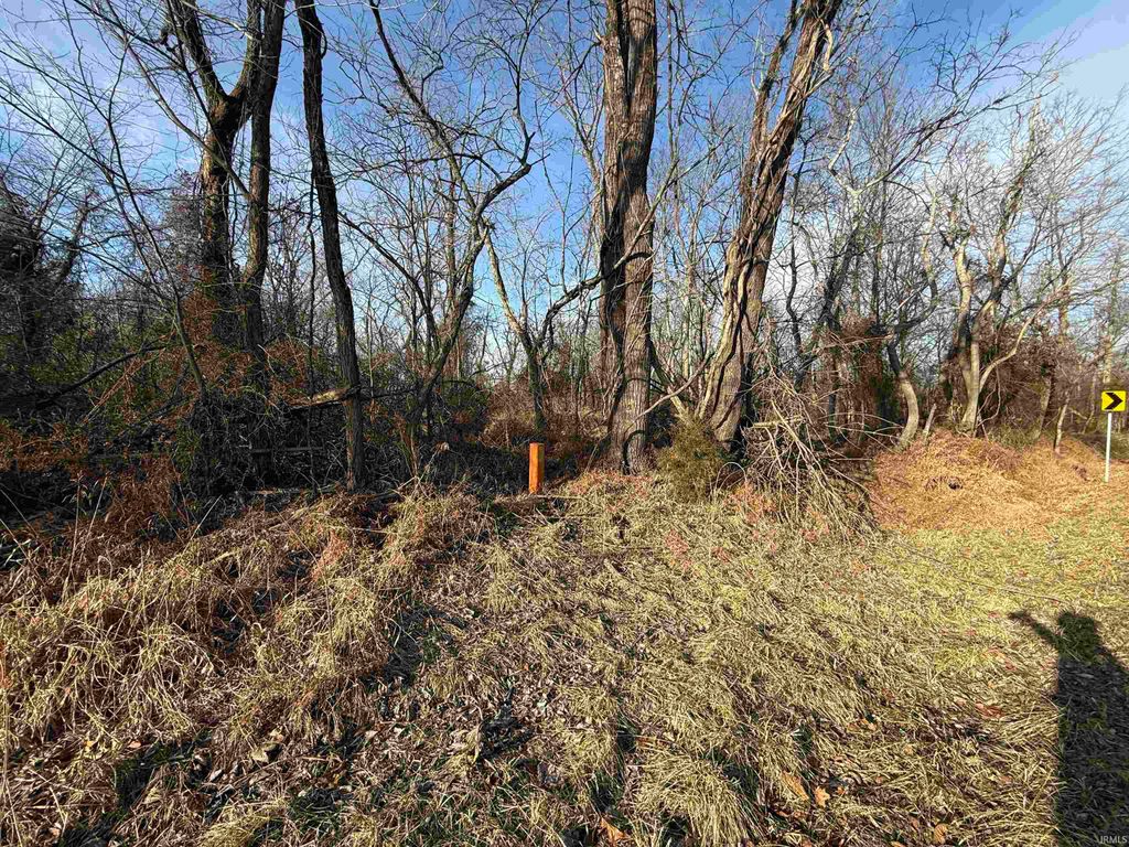 Photo of St. Rd. 257 Road, Stendal, IN 47585 (MLS # 202602506)