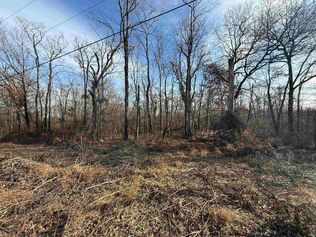 Photo of St. Rd. 257 Road, Stendal, IN 47585 (MLS # 202602506)