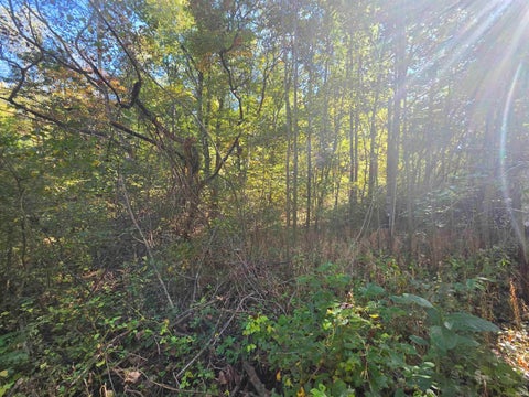 Tiny photo for 12073 E Lucky Point Road, Wheatland, IN 47597 (MLS # 202643601)