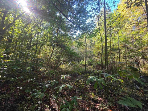 Tiny photo for 12073 E Lucky Point Road, Wheatland, IN 47597 (MLS # 202643601)