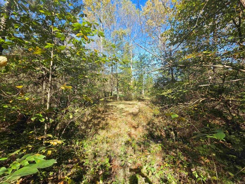 Tiny photo for 12073 E Lucky Point Road, Wheatland, IN 47597 (MLS # 202643601)