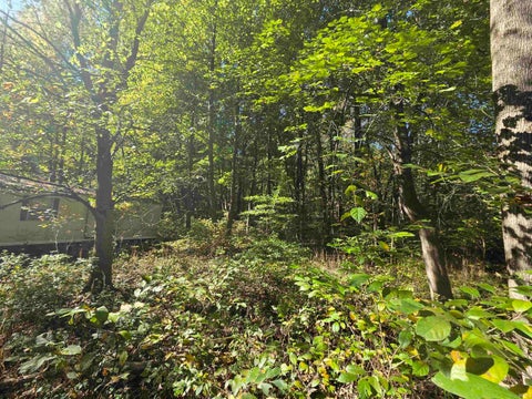 Tiny photo for 12073 E Lucky Point Road, Wheatland, IN 47597 (MLS # 202643601)