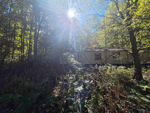 Tiny photo for 12073 E Lucky Point Road, Wheatland, IN 47597 (MLS # 202643601)