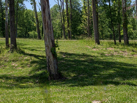 Photo for 4487 Fairway View Drive