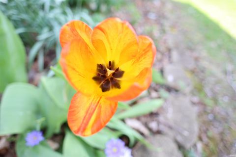 Tiny photo for 2525 W Lawson Road, Marion, IN 46952 (MLS # 202612692)