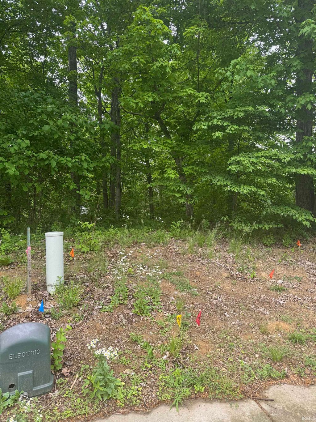 Photo of 6477 WATER STONE Court, Newburgh, IN 47630 (MLS # 202615325)