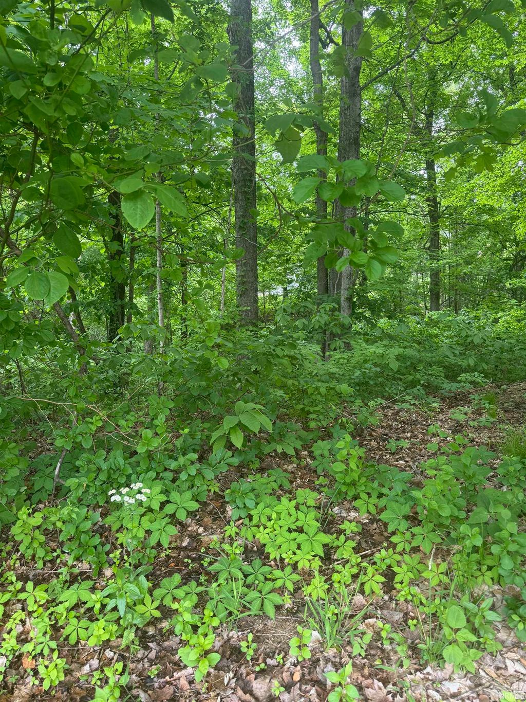 Photo of 6477 WATER STONE Court, Newburgh, IN 47630 (MLS # 202615325)