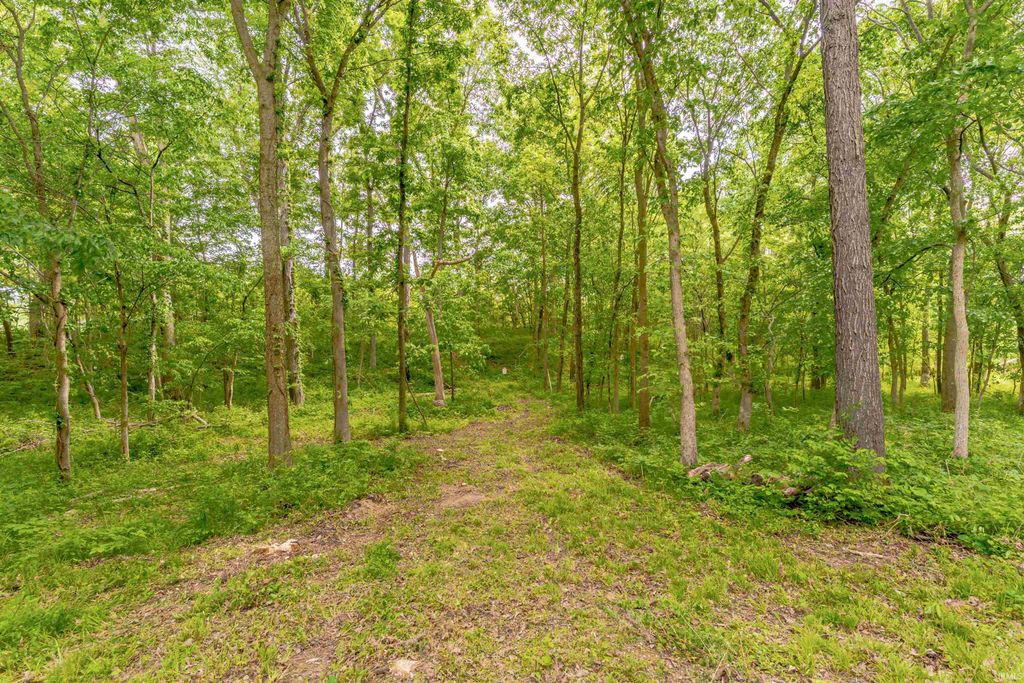 Photo of 2303 Schroeder Road, Evansville, IN 47725 (MLS # 202616686)