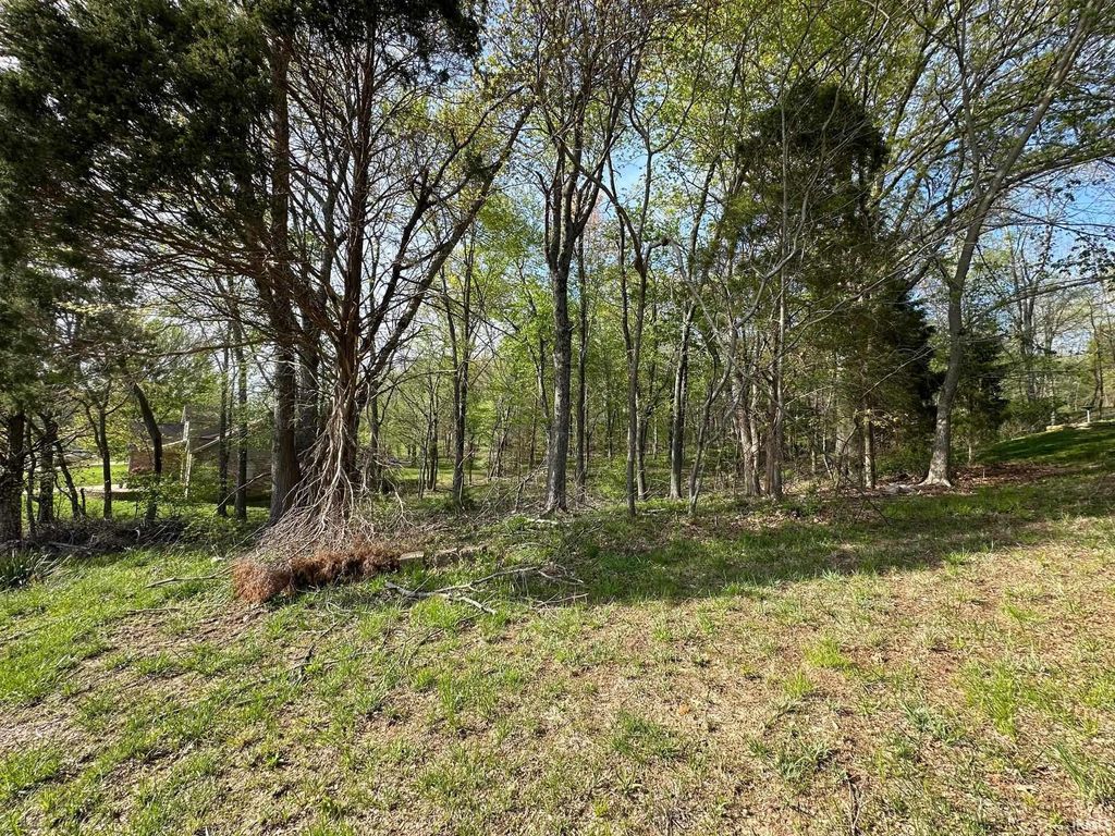 Photo of 318 S Balthazar Drive, Santa Claus, IN 47579 (MLS # 202605560)