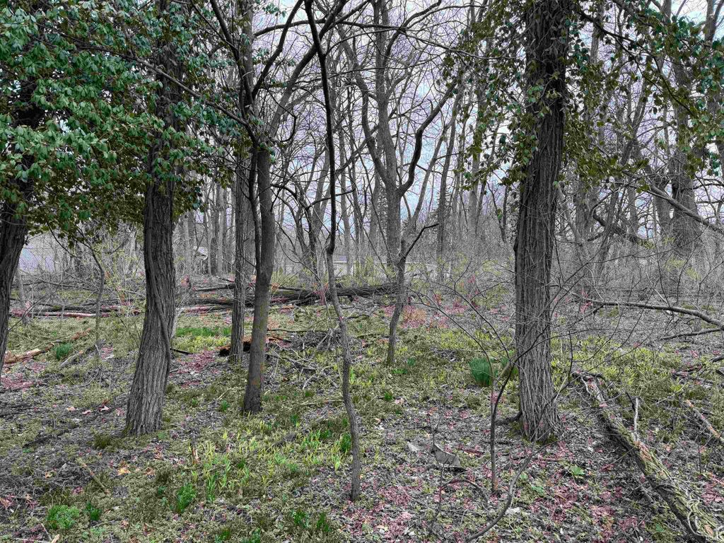 Photo of V L Adj 55625 Melrose Avenue, South Bend, IN 46628 (MLS # 202609979)