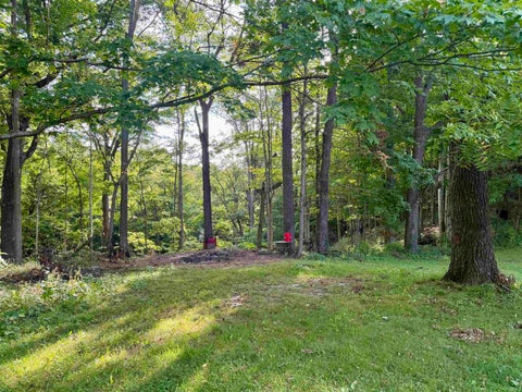 Tiny photo for 7259 N 700 W, Delphi, IN 46923 (MLS # 202637495)