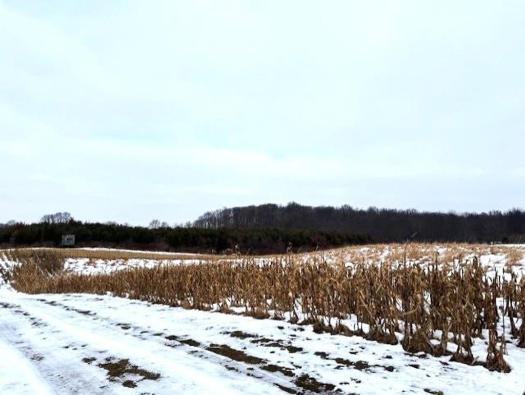 Photo of TBD E 900 N, Kendallville, IN 46755 (MLS # 202549339)