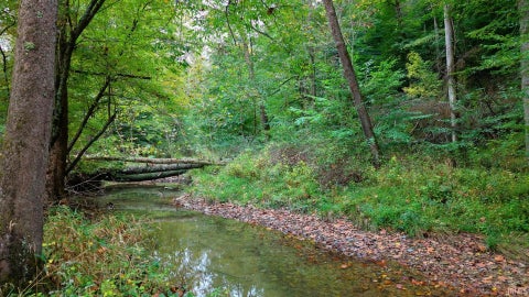 Photo for xx Rinnie Seitz Road