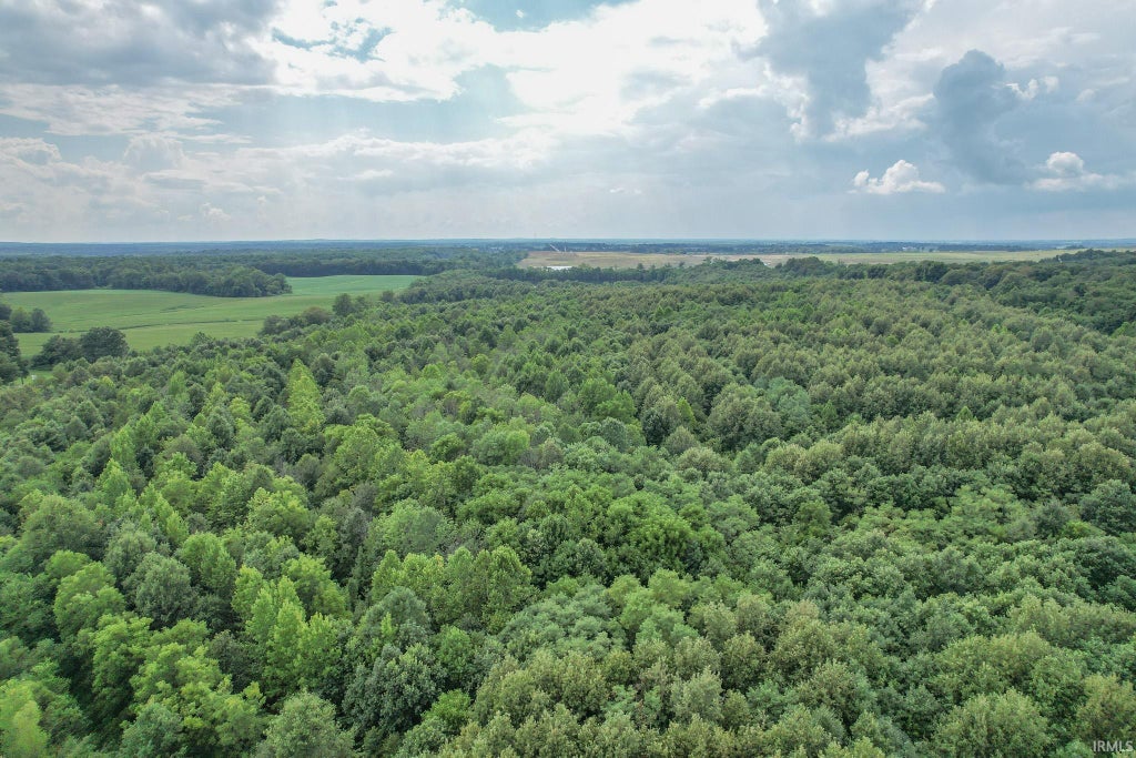 Photo of 3584 Doerner Road, Lynnville, IN 47619 (MLS # 202638022)