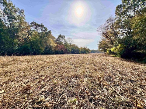 Tiny photo for 1484 N 1000 W, Medaryville, IN 47957 (MLS # 202644292)