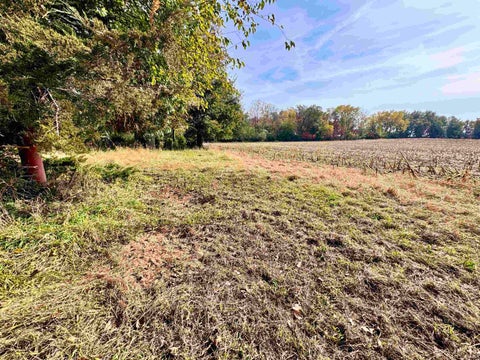 Tiny photo for 1484 N 1000 W, Medaryville, IN 47957 (MLS # 202644292)
